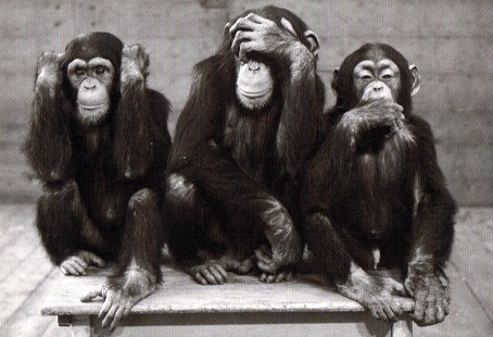 Les grands singes... - pardon ! - sages... Les grands singes... - pardon ! - sages...