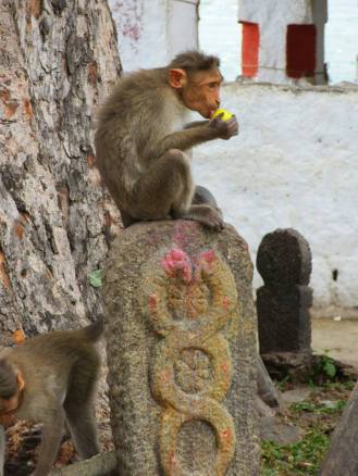 12043145_789443304501750_7021995677194101840_n