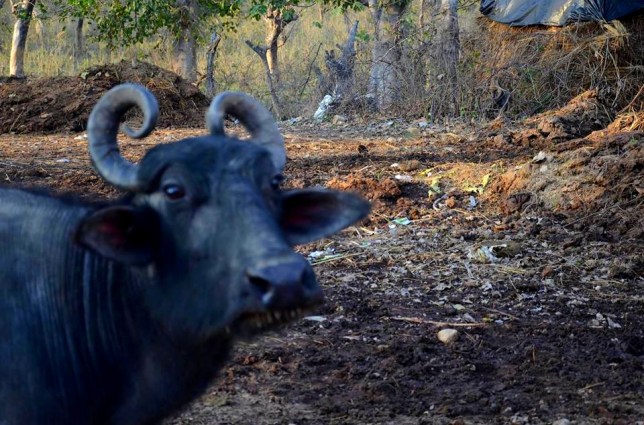 10447748_579102318869184_8855896233243771031_n