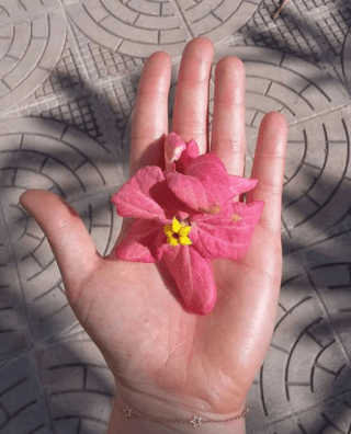 Screenshot_2018-01-05-20-30-53-1